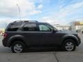 Sterling Grey Metallic - Escape XLT Photo No. 5