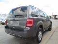 Sterling Grey Metallic - Escape XLT Photo No. 9