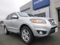 2011 Moonstone Silver Hyundai Santa Fe SE AWD  photo #12