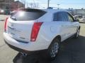 Platinum Ice Tricoat - SRX Luxury Photo No. 4