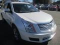 Platinum Ice Tricoat - SRX Luxury Photo No. 5