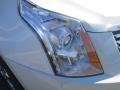Platinum Ice Tricoat - SRX Luxury Photo No. 12