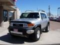 Titanium Metallic - FJ Cruiser 4WD Photo No. 15