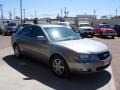Steel Gray - Sonata GLS V6 Photo No. 7
