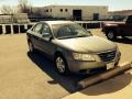 Camel Pearl - Sonata GLS Photo No. 2