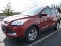 2015 Sunset Metallic Ford Escape SE 4WD  photo #5