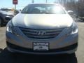 Iridescent Silver Blue Pearl - Sonata GLS Photo No. 2