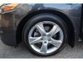 Graphite Luster Metallic - TSX Sedan Photo No. 43
