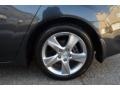 Graphite Luster Metallic - TSX Sedan Photo No. 45