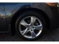 Graphite Luster Metallic - TSX Sedan Photo No. 49