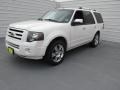 2010 White Platinum Tri-Coat Metallic Ford Expedition Limited  photo #4