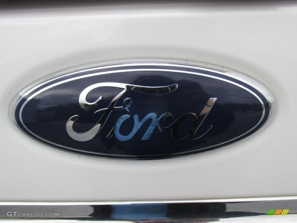2010 Expedition Limited - White Platinum Tri-Coat Metallic / Charcoal Black photo #14