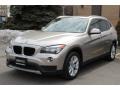 2013 Cashmere Silver Metallic BMW X1 xDrive 28i  photo #6