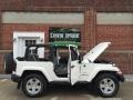 Stone White - Wrangler Sahara 4x4 Photo No. 110