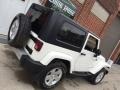 Stone White - Wrangler Sahara 4x4 Photo No. 146