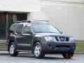 Night Armor Pearl - Xterra SE Photo No. 21