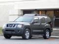 Night Armor Pearl - Xterra SE Photo No. 22