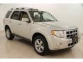 Light Sage Metallic 2009 Ford Escape Limited V6 4WD