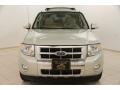 2009 Light Sage Metallic Ford Escape Limited V6 4WD  photo #2