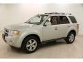 Light Sage Metallic 2009 Ford Escape Limited V6 4WD Exterior