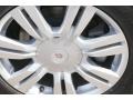 Platinum Ice Tricoat - SRX V6 Photo No. 52