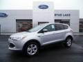 2015 Ingot Silver Metallic Ford Escape SE  photo #1