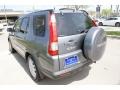2005 Pewter Pearl Honda CR-V Special Edition 4WD  photo #7