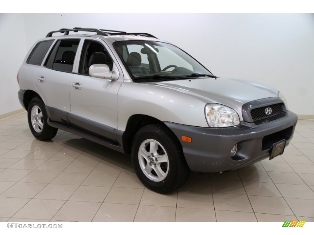 2004 Santa Fe GLS 4WD - Pewter / Gray photo #1