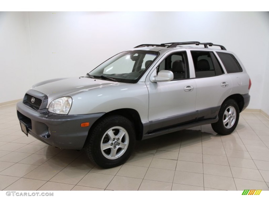 Pewter 2004 Hyundai Santa Fe GLS 4WD Exterior Photo #102529709