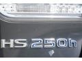 2010 Smoky Granite Mica Lexus HS 250h Hybrid Premium  photo #18