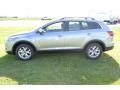 Liquid Silver Metallic - CX-9 Touring Photo No. 2