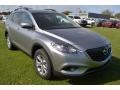 Liquid Silver Metallic - CX-9 Touring Photo No. 7