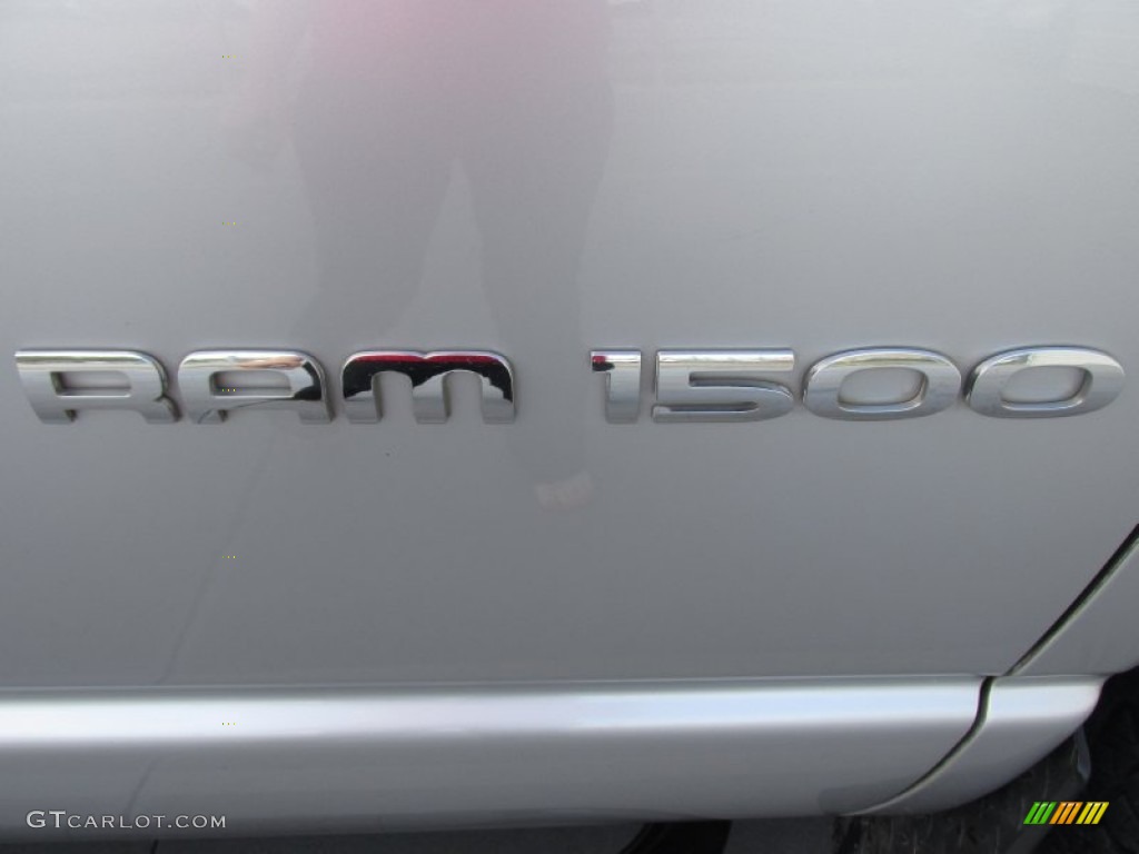 2006 Ram 1500 ST Regular Cab - Bright Silver Metallic / Medium Slate Gray photo #14