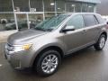 2013 Mineral Gray Metallic Ford Edge SEL AWD  photo #8