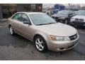 Golden Beige - Sonata GLS V6 Photo No. 2