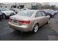 Golden Beige - Sonata GLS V6 Photo No. 3