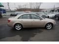 Golden Beige - Sonata GLS V6 Photo No. 14