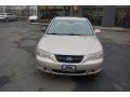 Golden Beige - Sonata GLS V6 Photo No. 16
