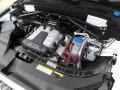 Ibis White - Q5 3.0 TFSI Premium Plus quattro Photo No. 30
