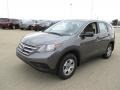 2013 Polished Metal Metallic Honda CR-V LX AWD  photo #5