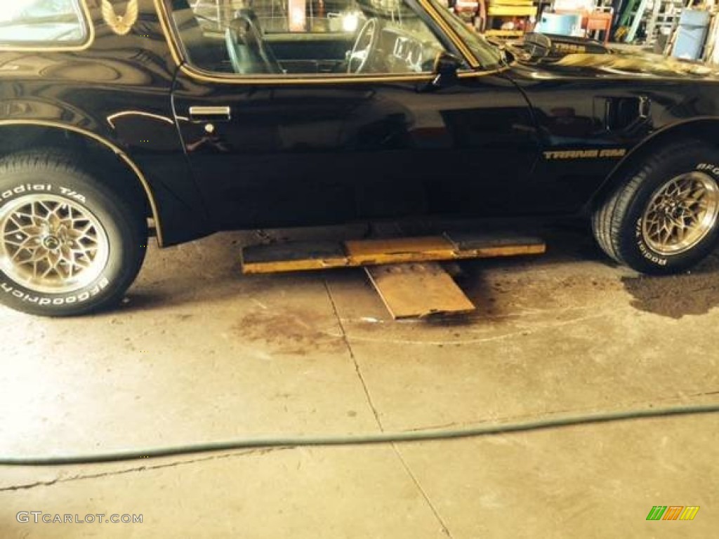 1979 Firebird 10th Anniversary Trans Am - Black / Black photo #2