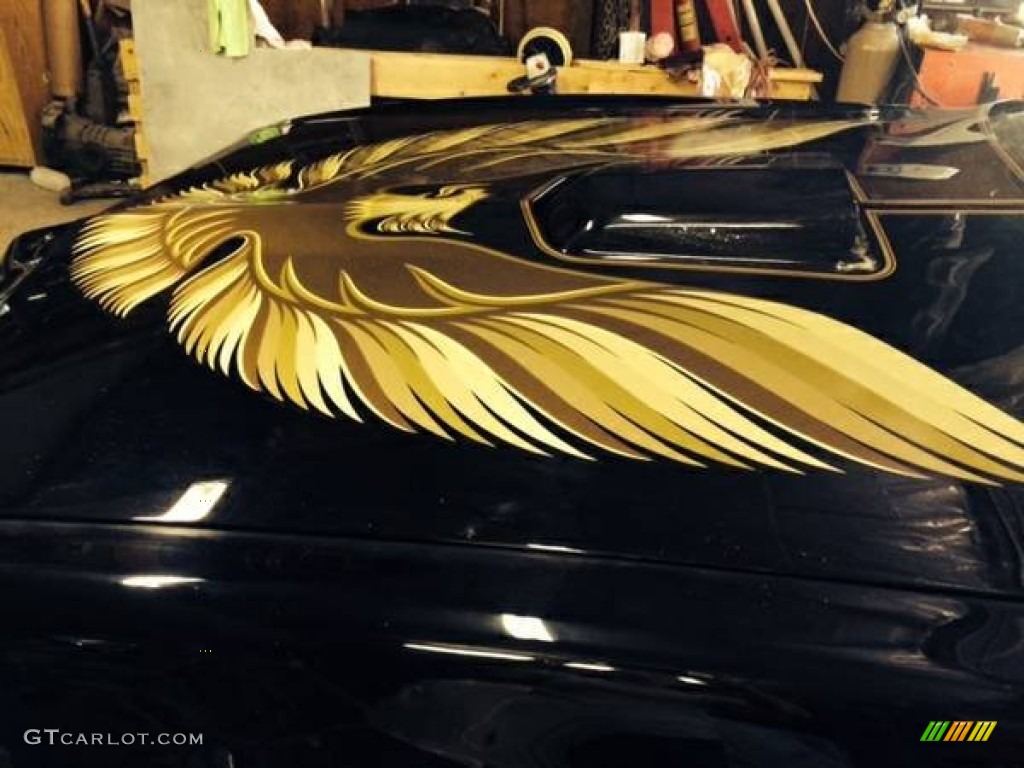 1979 Firebird 10th Anniversary Trans Am - Black / Black photo #3