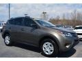 Pyrite Mica 2014 Toyota RAV4 LE