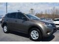 Pyrite Mica 2014 Toyota RAV4 LE Exterior