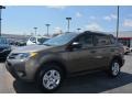 2014 Pyrite Mica Toyota RAV4 LE  photo #7