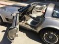 Silver Beige - Corvette Collector Edition Hatchback Photo No. 1