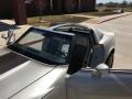 Silver Beige - Corvette Collector Edition Hatchback Photo No. 6