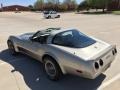 Silver Beige - Corvette Collector Edition Hatchback Photo No. 7