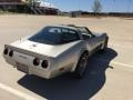 Silver Beige - Corvette Collector Edition Hatchback Photo No. 9