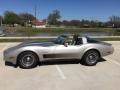 Silver Beige - Corvette Collector Edition Hatchback Photo No. 11
